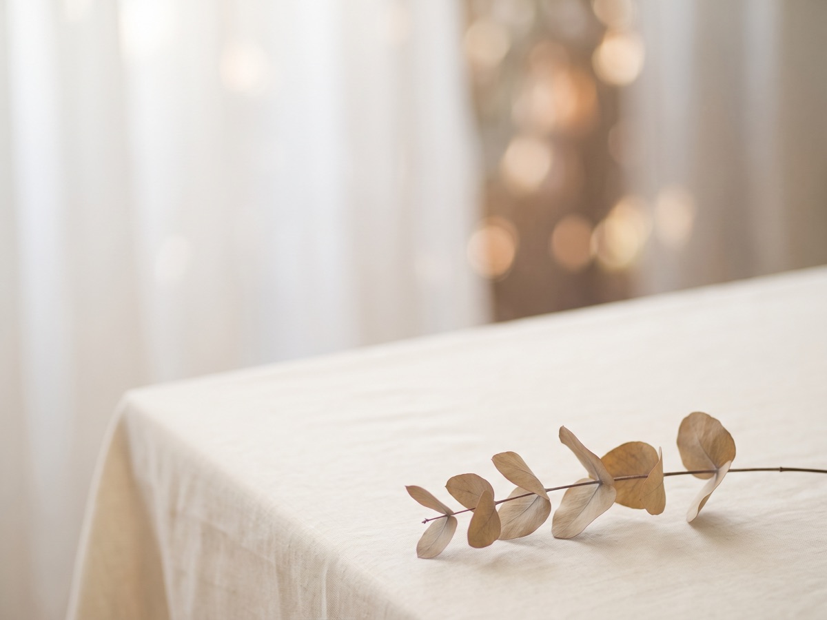A dried eucalyptus stem laid across a linen-draped table
